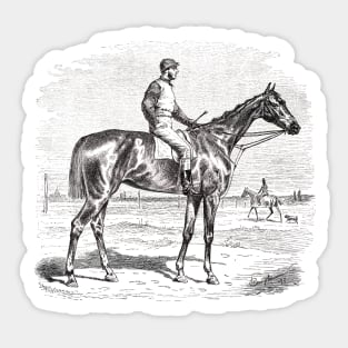 Thoroughbred Racehorse Black & White Illustration Sticker